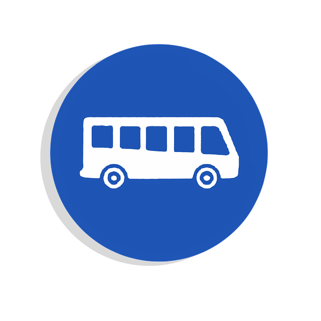 transporte escolar