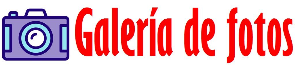 logo galería fotos