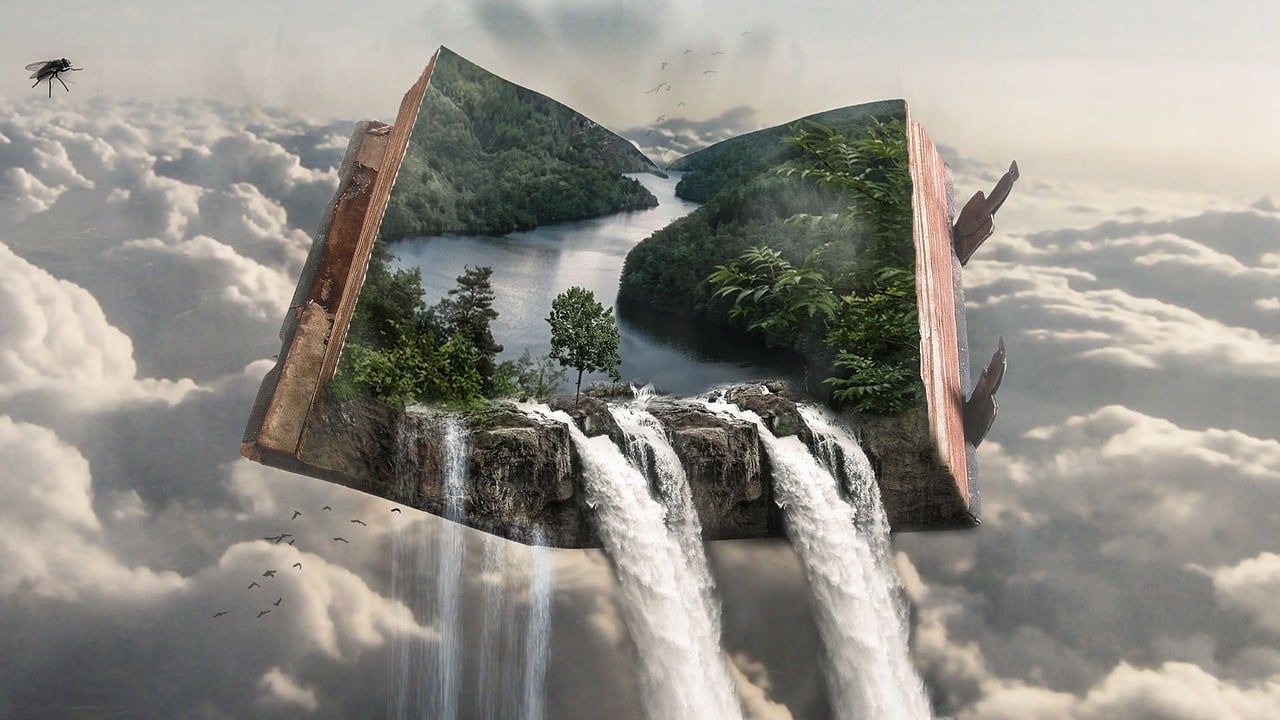 LIBRO Y NATURALEZA