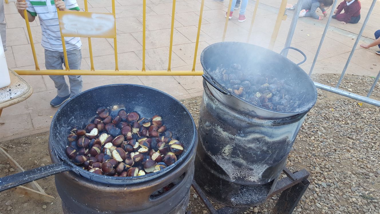 Castañas 2017 01