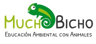 logo muchobicho